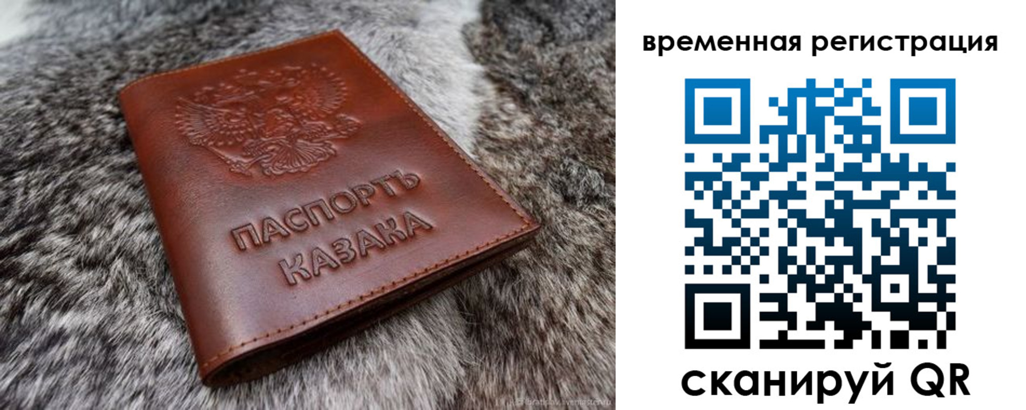 прописка 2025 в Солнечногорске
